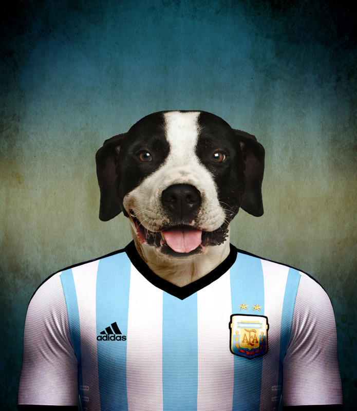 阿根廷 杜高犬.jpg