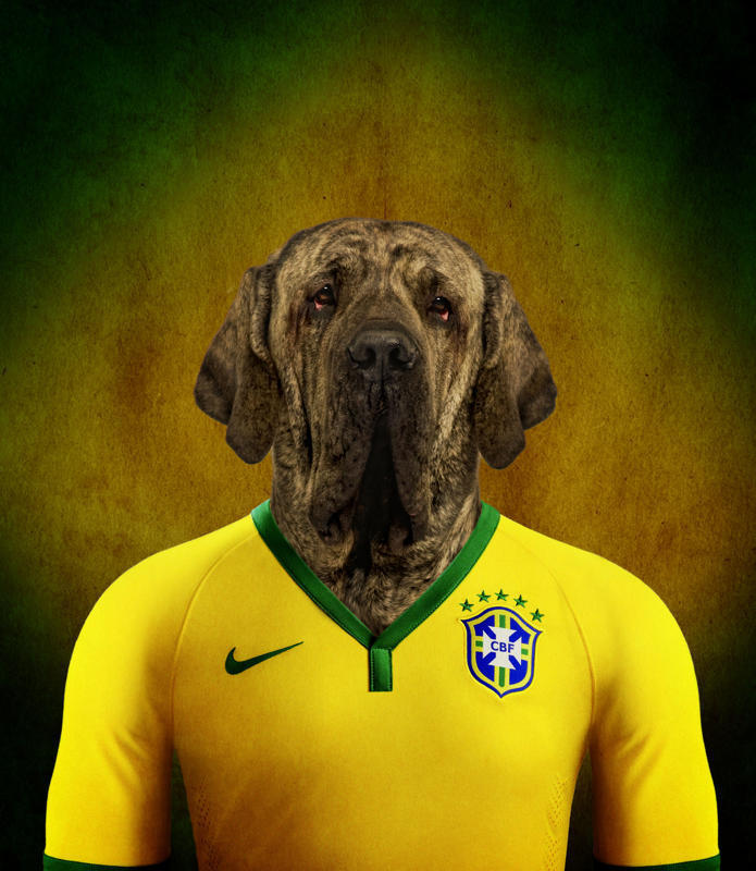 巴西 菲勒犬.jpg