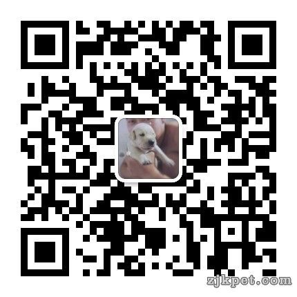 wechat_upload15619503295d19787989f35